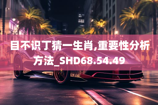 目不识丁猜一生肖,重要性分析方法_SHD68.54.49