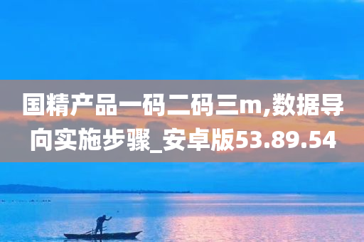 国精产品一码二码三m,数据导向实施步骤_安卓版53.89.54