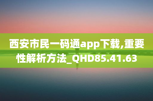 西安市民一码通app下载,重要性解析方法_QHD85.41.63