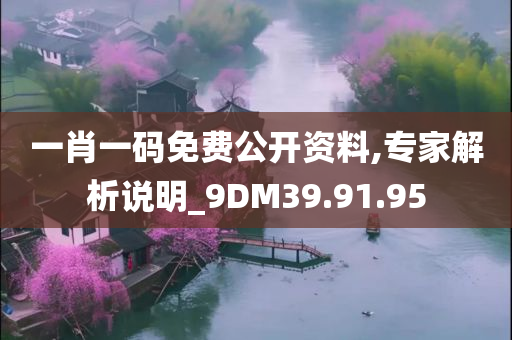 一肖一码免费公开资料,专家解析说明_9DM39.91.95