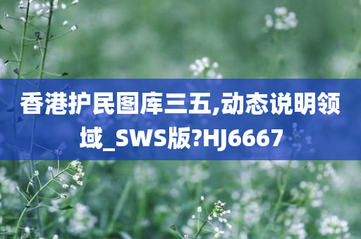 香港护民图库三五,动态说明领域_SWS版?HJ6667