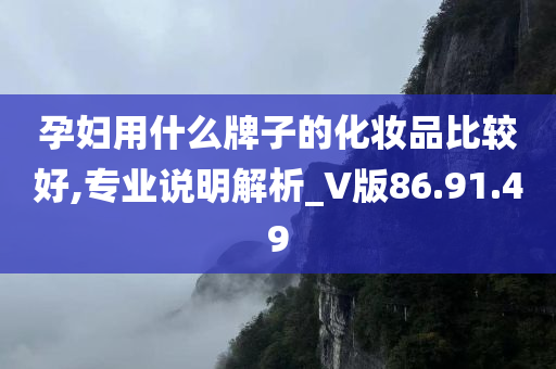 孕妇用什么牌子的化妆品比较好,专业说明解析_V版86.91.49