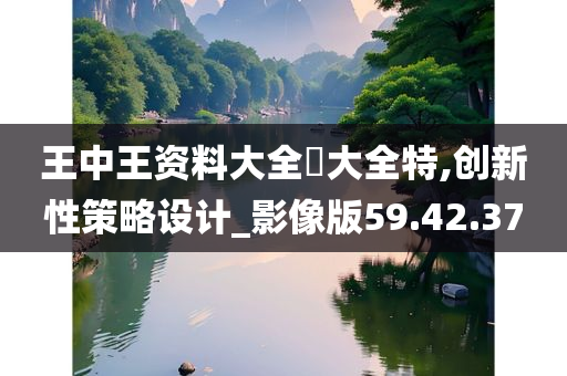 王中王资料大全枓大全特,创新性策略设计_影像版59.42.37