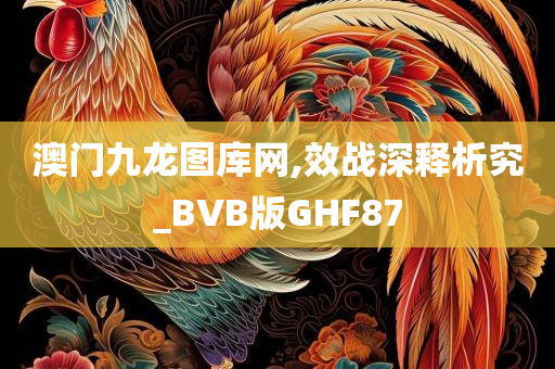 澳门九龙图库网,效战深释析究_BVB版GHF87