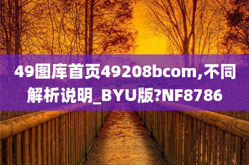 49图库首页49208bcom,不同解析说明_BYU版?NF8786