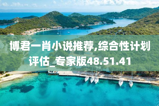 博君一肖小说推荐,综合性计划评估_专家版48.51.41