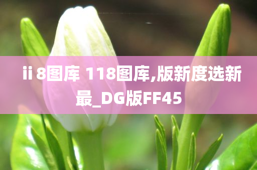 ⅱ8图库 118图库,版新度选新最_DG版FF45