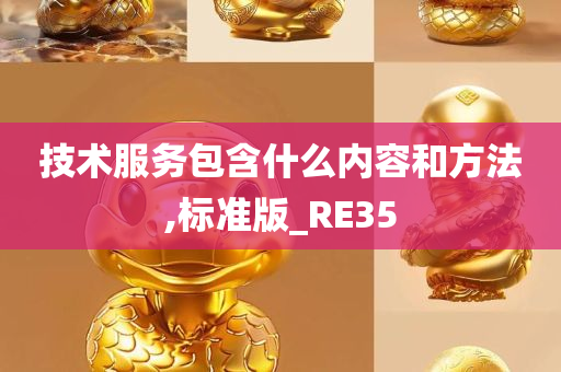 技术服务包含什么内容和方法,标准版_RE35