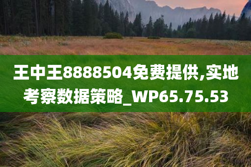 王中王8888504免费提供,实地考察数据策略_WP65.75.53