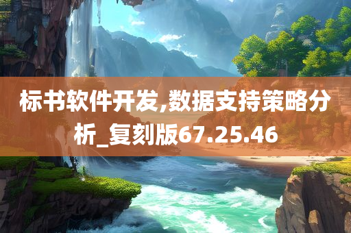 标书软件开发,数据支持策略分析_复刻版67.25.46