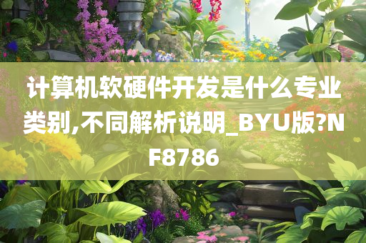 计算机软硬件开发是什么专业类别,不同解析说明_BYU版?NF8786