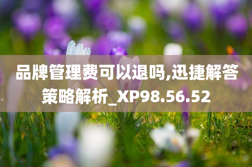 品牌管理费可以退吗,迅捷解答策略解析_XP98.56.52