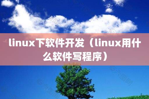 linux下软件开发（linux用什么软件写程序）