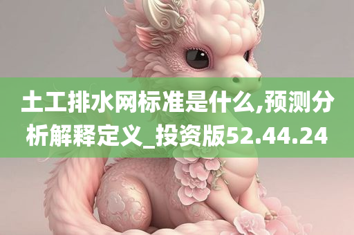 土工排水网标准是什么,预测分析解释定义_投资版52.44.24