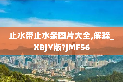 止水带止水条图片大全,解释_XBJY版?JMF56