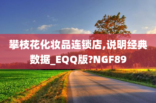 攀枝花化妆品连锁店,说明经典数据_EQQ版?NGF89