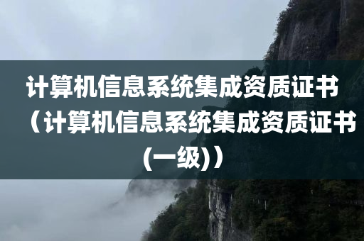 计算机信息系统集成资质证书（计算机信息系统集成资质证书(一级)）