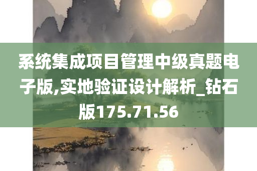 系统集成项目管理中级真题电子版,实地验证设计解析_钻石版175.71.56