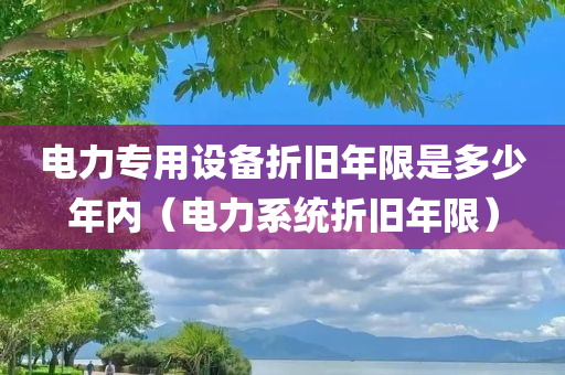 电力专用设备折旧年限是多少年内（电力系统折旧年限）