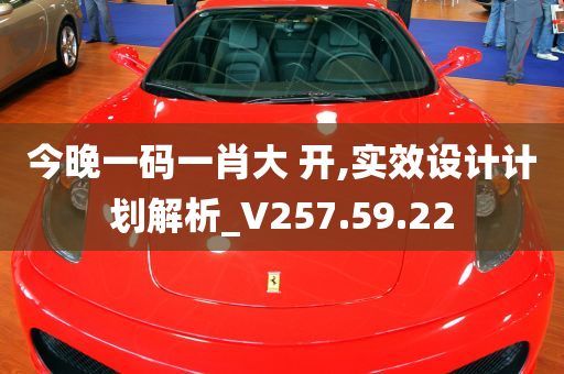 今晚一码一肖大 开,实效设计计划解析_V257.59.22