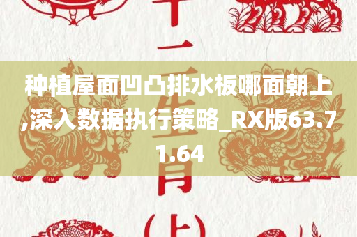 种植屋面凹凸排水板哪面朝上,深入数据执行策略_RX版63.71.64