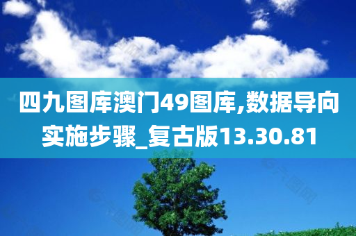 四九图库澳门49图库,数据导向实施步骤_复古版13.30.81