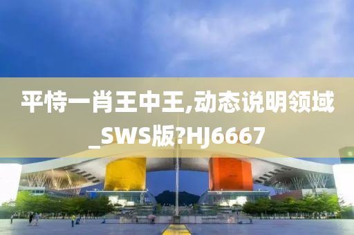 平恃一肖王中王,动态说明领域_SWS版?HJ6667