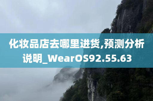 化妆品店去哪里进货,预测分析说明_WearOS92.55.63