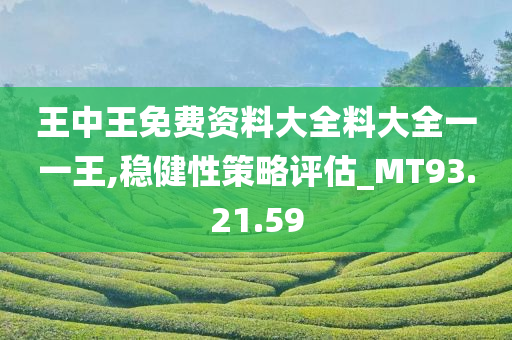 王中王免费资料大全料大全一一王,稳健性策略评估_MT93.21.59