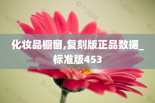 化妆品橱窗,复刻版正品数据_标准版453