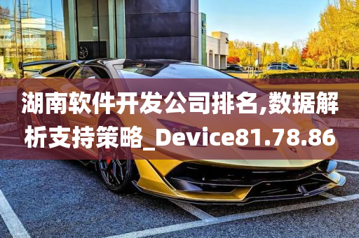 湖南软件开发公司排名,数据解析支持策略_Device81.78.86