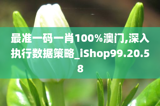 最准一码一肖100%澳门,深入执行数据策略_iShop99.20.58