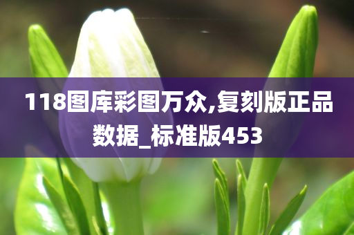 118图库彩图万众,复刻版正品数据_标准版453