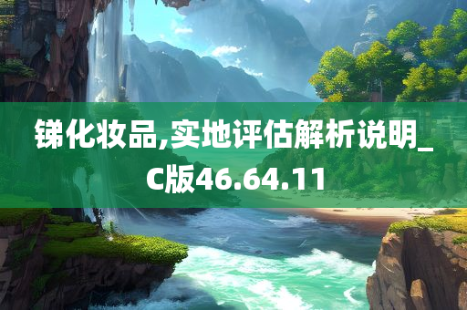 锑化妆品,实地评估解析说明_C版46.64.11