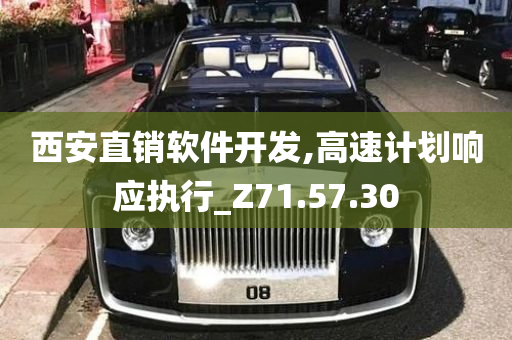 西安直销软件开发,高速计划响应执行_Z71.57.30