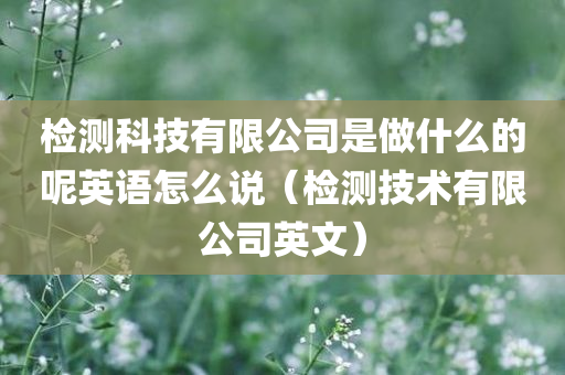 检测科技有限公司是做什么的呢英语怎么说（检测技术有限公司英文）