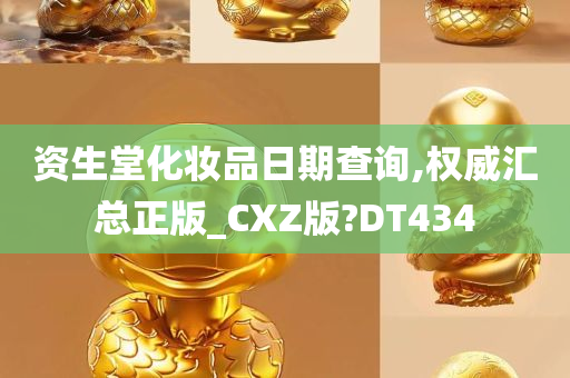 资生堂化妆品日期查询,权威汇总正版_CXZ版?DT434