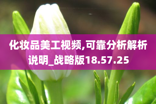 化妆品美工视频,可靠分析解析说明_战略版18.57.25