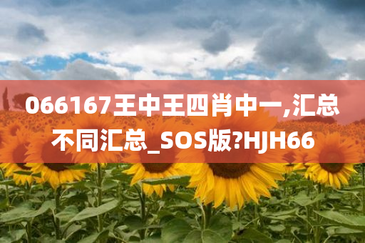 066167王中王四肖中一,汇总不同汇总_SOS版?HJH66