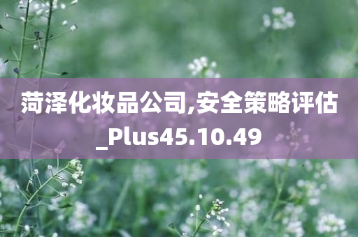 菏泽化妆品公司,安全策略评估_Plus45.10.49