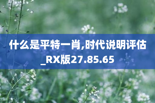 什么是平特一肖,时代说明评估_RX版27.85.65