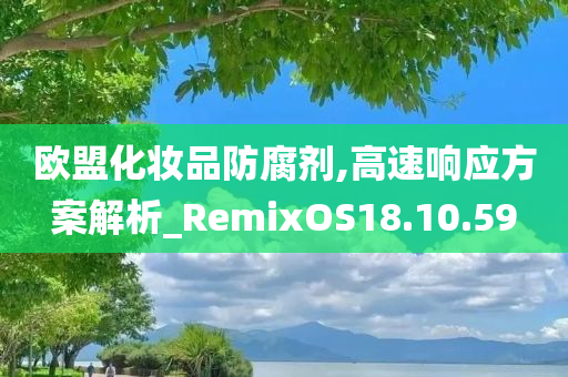 欧盟化妆品防腐剂,高速响应方案解析_RemixOS18.10.59