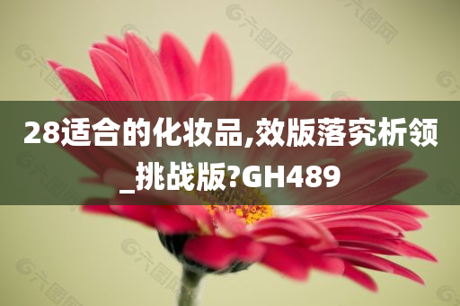 28适合的化妆品,效版落究析领_挑战版?GH489