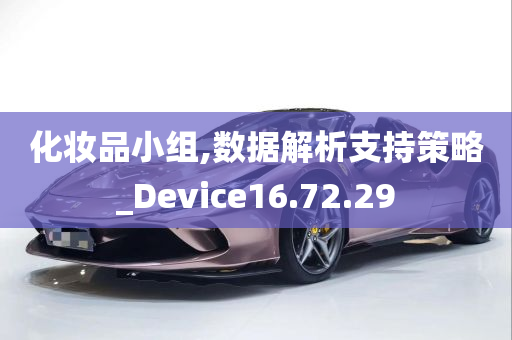 化妆品小组,数据解析支持策略_Device16.72.29