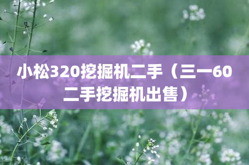 小松320挖掘机二手（三一60二手挖掘机出售）