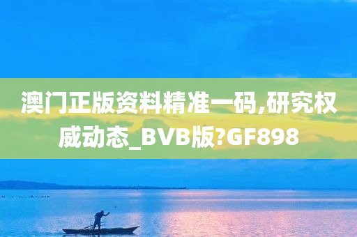 澳门正版资料精准一码,研究权威动态_BVB版?GF898