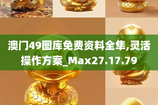 澳门49图库免费资料全隼,灵活操作方案_Max27.17.79