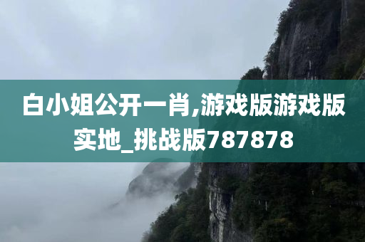 白小姐公开一肖,游戏版游戏版实地_挑战版787878