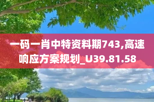 一码一肖中特资料期743,高速响应方案规划_U39.81.58