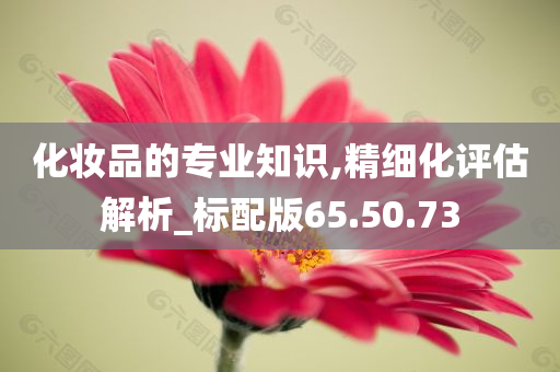 化妆品的专业知识,精细化评估解析_标配版65.50.73